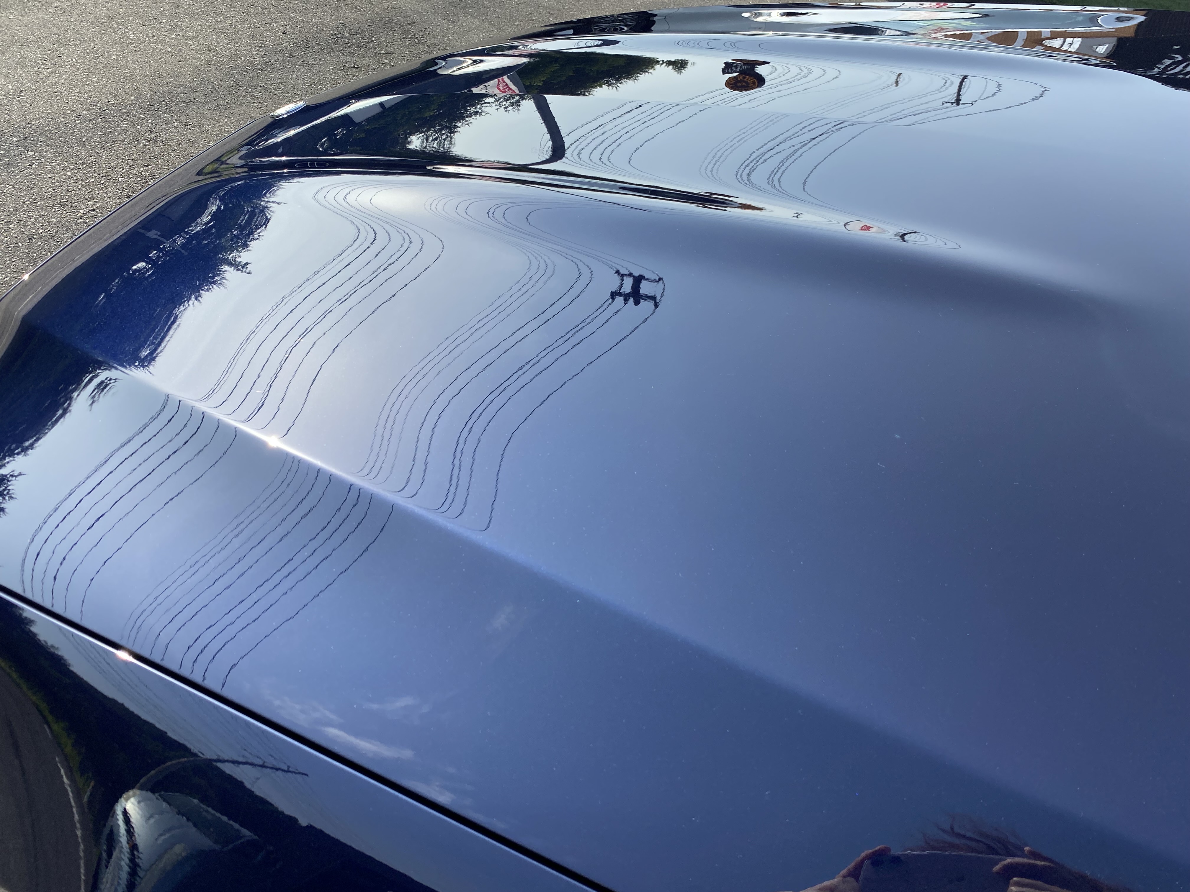 88F368B7-1F8E-4024-A812-6F2A9A5E67CF